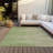  Machine Washable Indoor/Outdoor Chantille ACN996 Paprika Area Rug-945856522