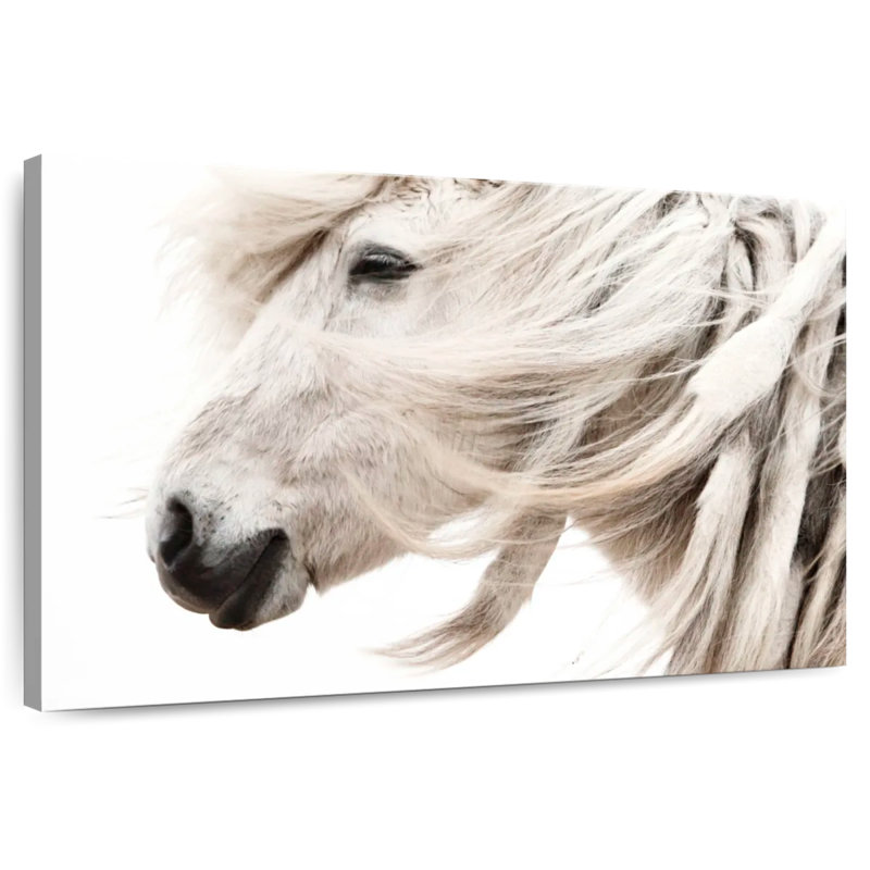 Crin de cheval Brampt, H 34 po x l 51 po