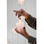 19 - Light Pendant