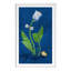 Spotted Tulip 2 (Blue) Print by Dana Gibson-704811853-704811852