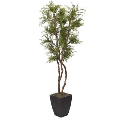 84'' Faux Maiden Hair Fern Tree in Metal Basket