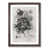 Walnut Framed selected