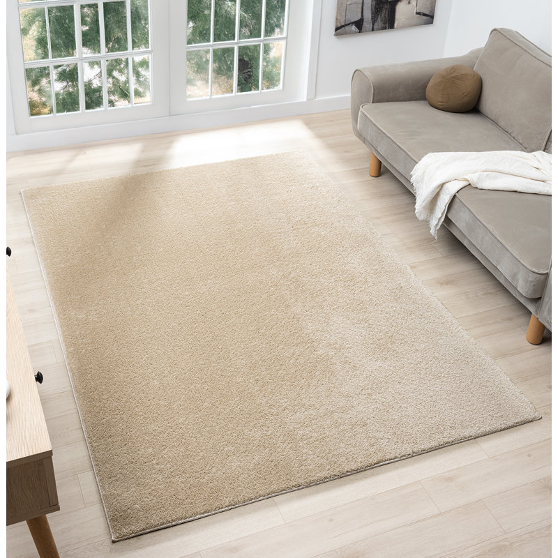 Taeler Washable Modern Living Room Rug Polyester Plain Indoor Area Rug with Low Pile - Anti-Slip Felt Backing SuperSoft Carpet Bedroom-Hallway, Light Beige