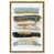 Gold Framed Canvas
