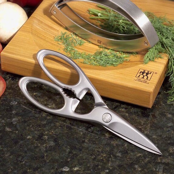 https://assets.wfcdn.com/im/20730568/resize-h755-w755%5Ecompr-r85/1172/11729665/Zwilling+Twin+Select+Stainless+Steel+Kitchen+Shears.jpg