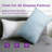 Encased Cooling Shredded Memory Foam Pillow - Sleep by Wayfair™
