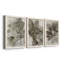 Birch Leaves I, reproduction d'art sur toile-1078033320-1078033302