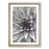 Oak Framed selected
