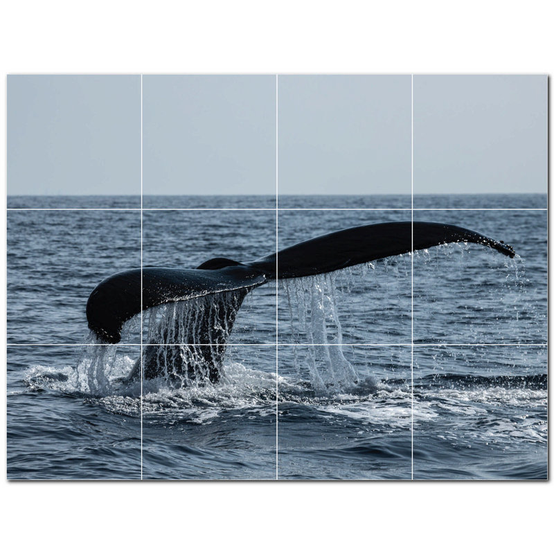 Baleine photo 4,25 x 4,25