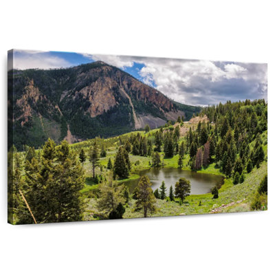 Alvord Yellowstone Mountain Scene