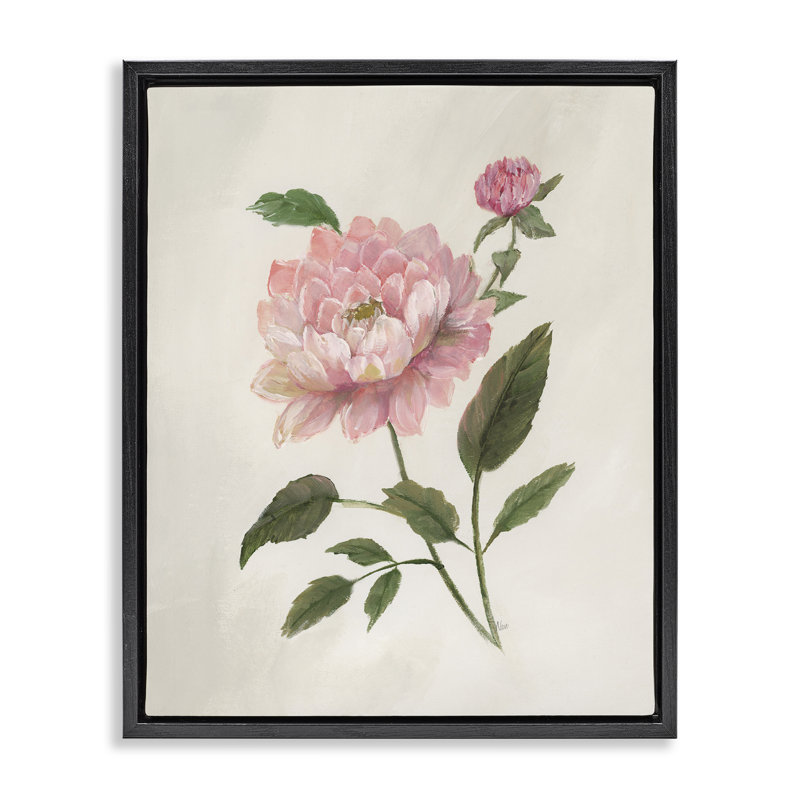 Single Pink Dahlia Bloom, Jet Black Floater Frame, 21" H x 17" W