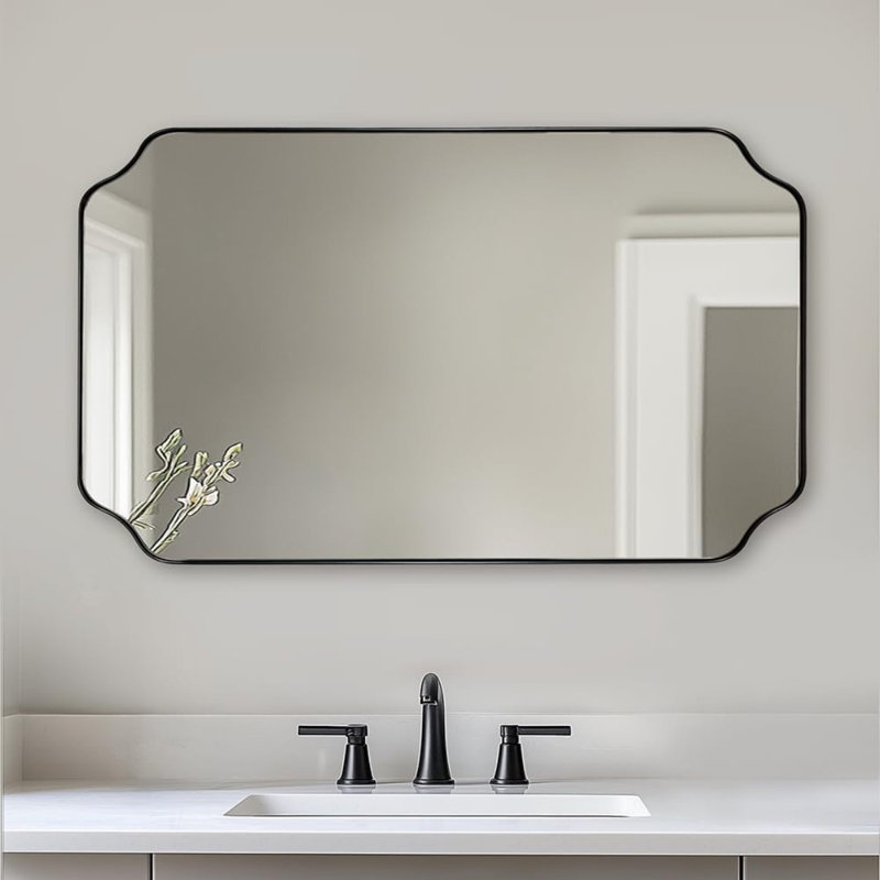 Miroir de salle de bain Modern Cadre en acier inoxydable, Noir mat, 48 po x 30 po