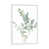 White Frame n'est pas disponible
