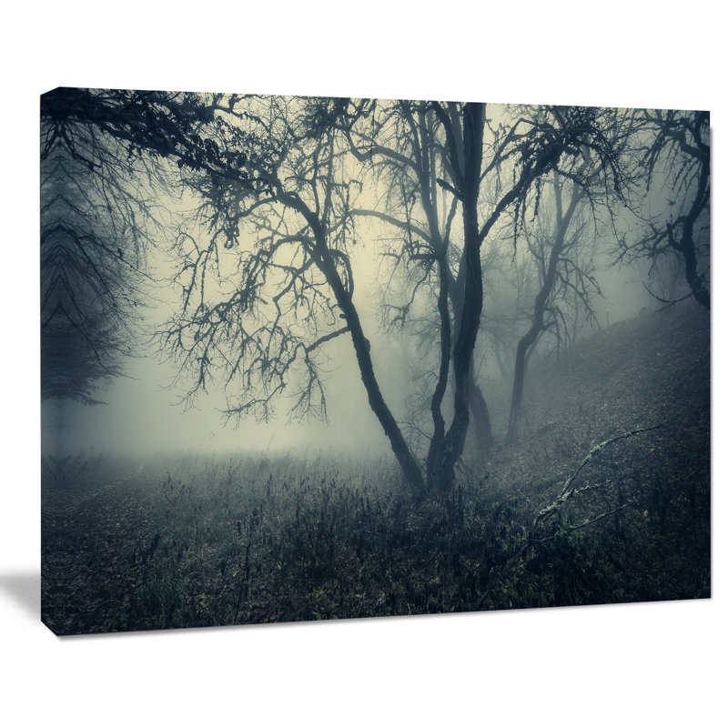 Forêt avec brouillard vert au matin - reproduction de photo sur toile tendue, H 20 po x l 20 po x P 1 po