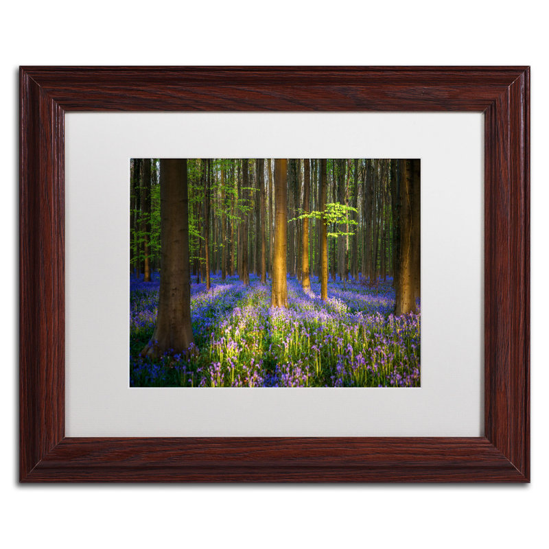 Mystical Forest Landscape Photographic Print on Canvas with Brown Frame