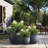 Amethy Handmade Pot Planter-705676521