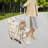 2-Layer Rolling Pet Carrier With Mesh Windows