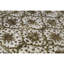 Oriental Area Rug