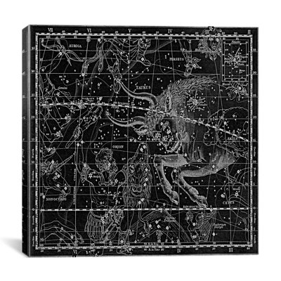 Maps and Charts Prints Celestial Atlas - Plate 14 (Taurus) by Alexander Jamieson Graphic Art on Canvas