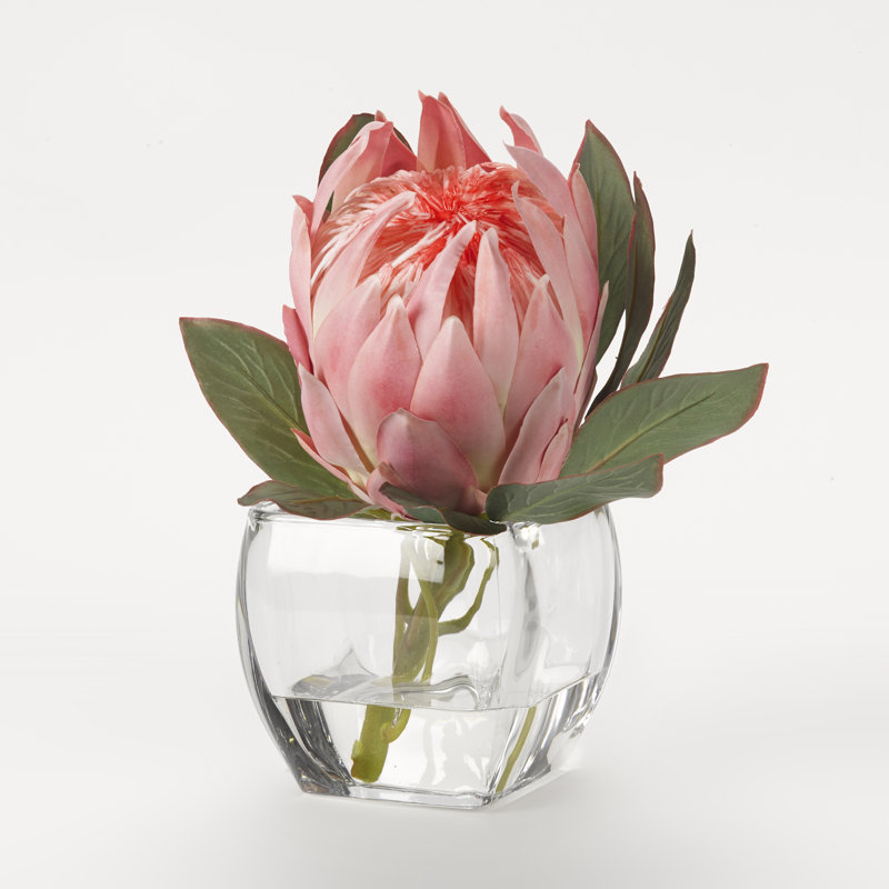 Agencement floral grand protea et pièce maîtresse dans un pot, Rose / Vert