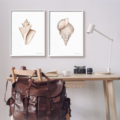 Tranquil Spiral Sea Shells Soft Marine Life Illustration 2Pc Oversized White Framed Giclee Texturized Art Set By Stephanie Workman Marrott -  Stupell Industries, a2-257_wfr_2pc_24x30