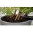 Pot Planter-638407530