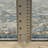Yeadon Oriental Indoor Rug-32266952