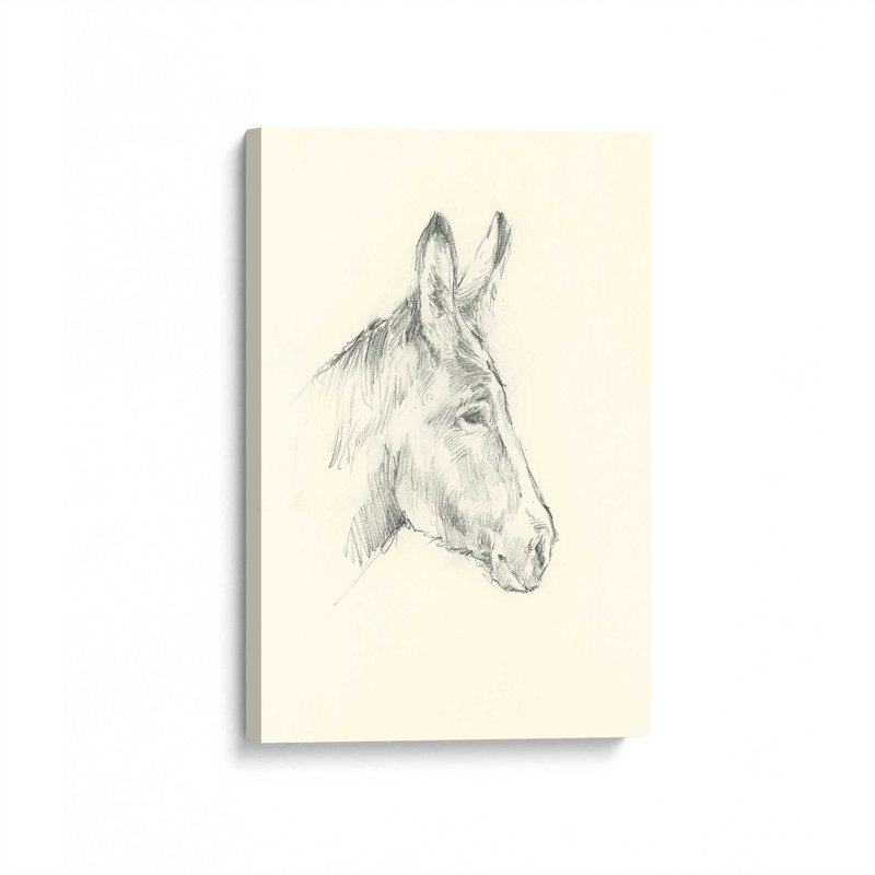 «Donkey Study I» par Ethan Harper, reproduction d'art sur toile, Sans objet, H 48 po x l 36 po, Toile tendue