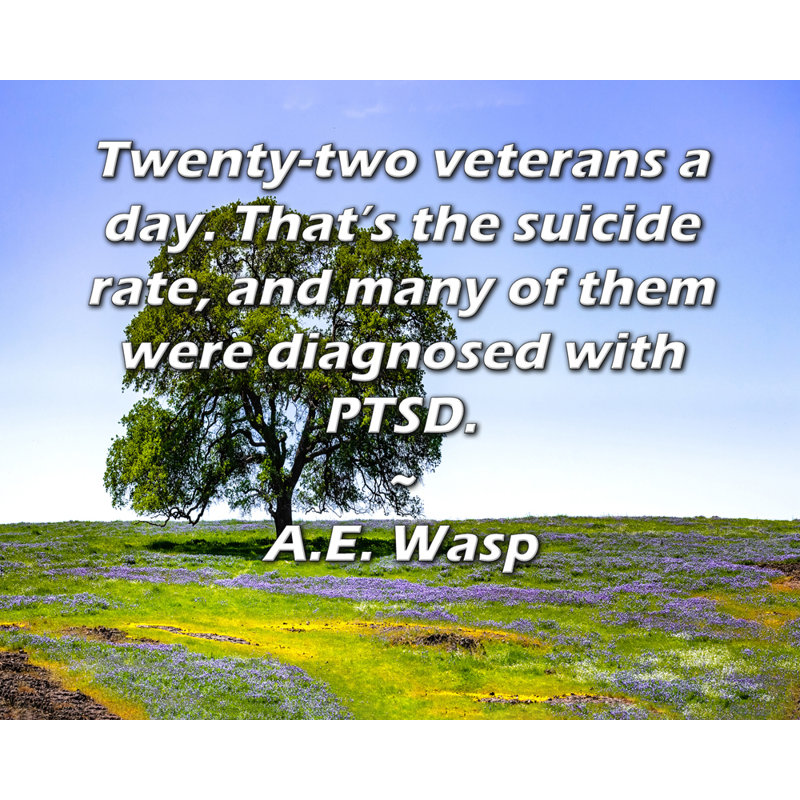 ArtsyQuotes Gallery Wrapped Canvas By A.E. Wasp: "Twenty-two veterans a day. That’s the suicide rate, and many of them were diagnosed with PTSD."