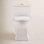 Voltaire 1-Piece Dual-Flush Toilet