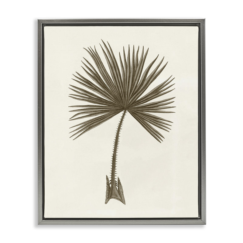 Étude rétro de cadre flottant feuille de palmier, design par Phillipa Katz, H 21 po x l 17 po, Cadre flottant gris lustré
