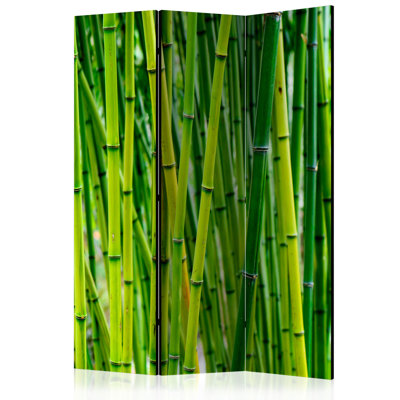 Coinde 172cm H Solid Wood Folding Room Divider