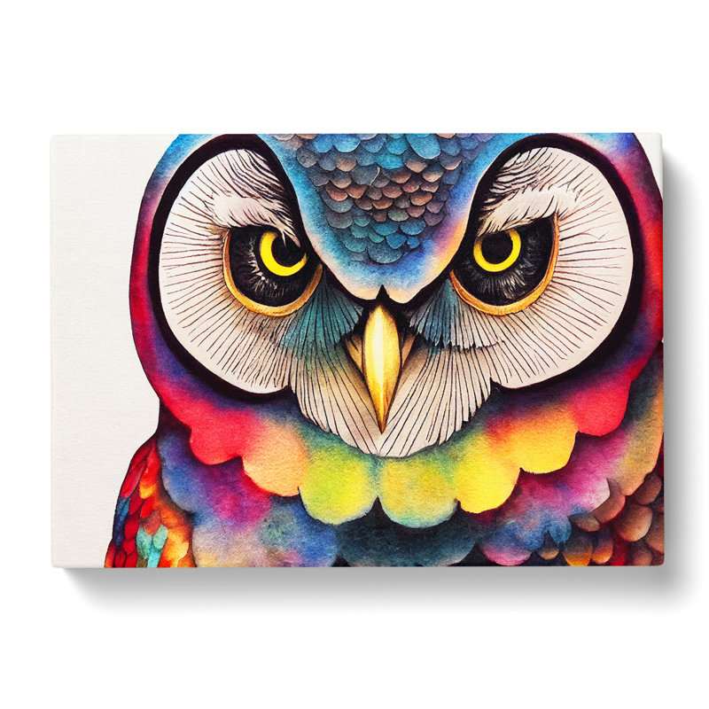Colourful Owl Vol.1 - Wrapped Canvas, 35cm H x 50cm W x 3cm D