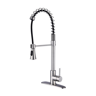 Brushed Nickel Single Handle Commercial Modern Spring High Arc Kitchen Faucet Water Filter System Bt