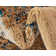 Cevenola Oriental Indoor Rug