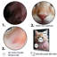 Décoration de salle de bain pour chaton câlin I - animaux_106736-1958415601-1958415614