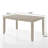 Paulett 59.06" Dining Table-87288504