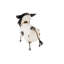 Art de jardin Sorrell-628954652
