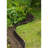 Ayssa 19.5cm H x 1.9cm W Black Polyethylene Plastic Lawn Edging