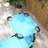 Outsunny Outdoor Lounge Chair, Adjustable Backrest Folding Chaise Lounge, Cushioned Tanning Chair-1515517086-1515517088