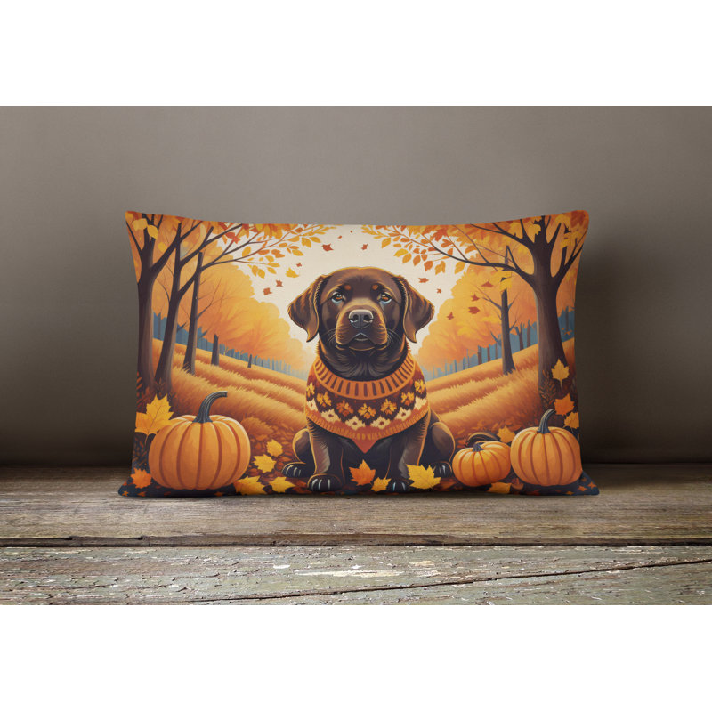 Other/No Pattern Outdoor Throw Pillow