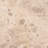 Reyan Coffee Table Beige