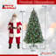 Lighted Artificial Christmas Tree