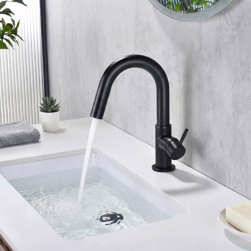 Robinet de lavabo de salle de bain circulaire, Noir mat