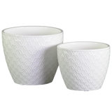 Gracy Ceramic Pot Planter