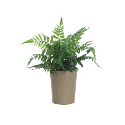 Faux Fern in Paper Pot