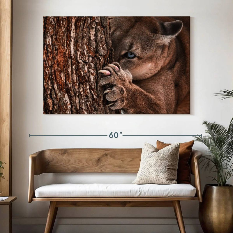 Brampt Peaking Young Cougar, 34" H x 51" W