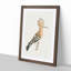 Hoopoes Bird by Von Wright - Picture Frame Painting Print on MDF-55579850-55579852