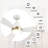 Elazar 52'' Ceiling Fan with LED Lights-765181022