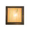 Rustic Lodge 1 - Light Flush Mount